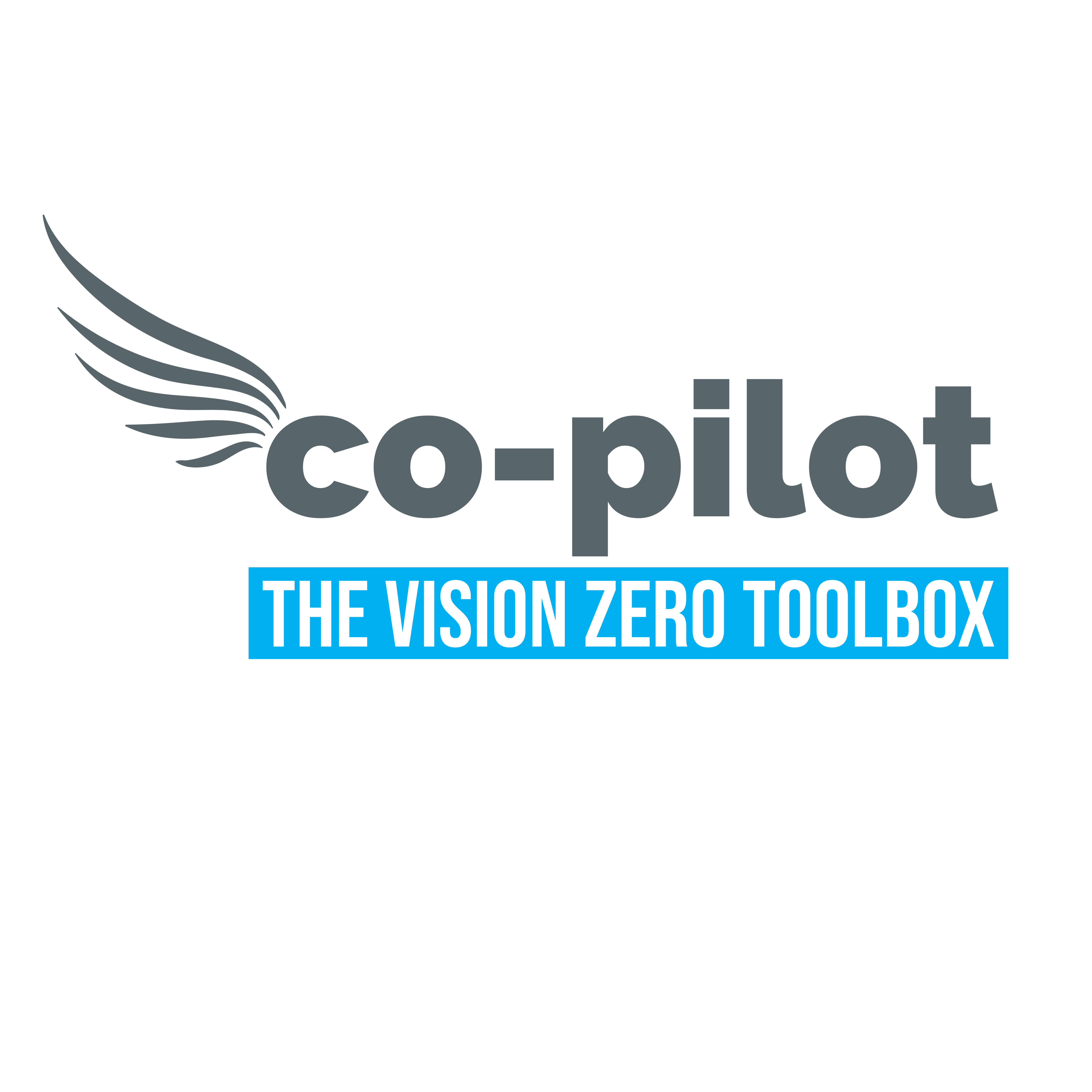 Co-Pilot - The Vision Zero Toolbox